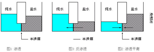 RO反滲透膜結(jié)構(gòu)原理 RO反滲透膜結(jié)構(gòu)原理