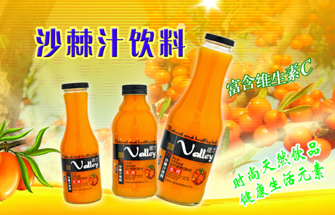 沙棘飲料生產(chǎn)線|灌裝機(jī)|沙棘飲料生產(chǎn)設(shè)備廠家-溫州科信