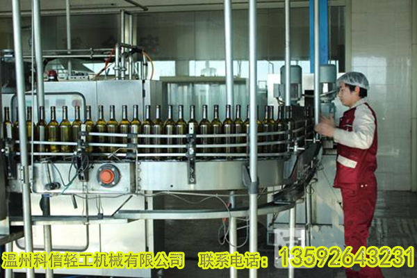 全自動(dòng)火龍果酒生產(chǎn)線(xiàn)設(shè)備價(jià)格|整套火龍果酒加工制作設(shè)備廠(chǎng)家