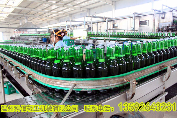 自動化水果酵素發(fā)酵設(shè)備廠家|藍莓酵素飲料加工工藝