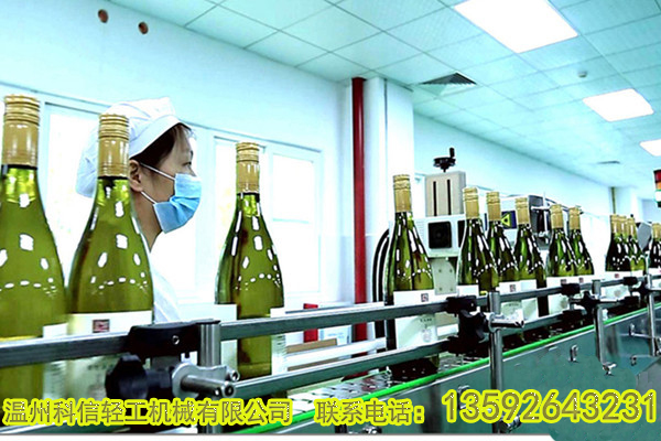 全套蘋果醋飲料加工設(shè)備價(jià)格|中小型蘋果醋飲料灌裝生產(chǎn)線設(shè)備廠家溫州科信