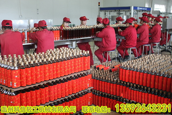 全自動(dòng)山楂汁飲料加工設(shè)備價(jià)格 中小型山楂汁飲料生產(chǎn)線設(shè)備廠家