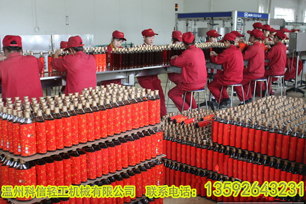整套西瓜汁飲料生產(chǎn)線設(shè)備價(jià)格 小型西瓜汁飲料加工設(shè)備廠家