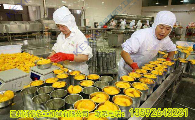 整套水果罐頭生產(chǎn)設(shè)備 小型黃桃灌裝灌裝設(shè)備