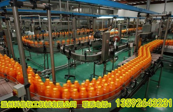 全套黃金梨果汁飲料生產(chǎn)線設(shè)備 小型黃金梨加工設(shè)備廠家