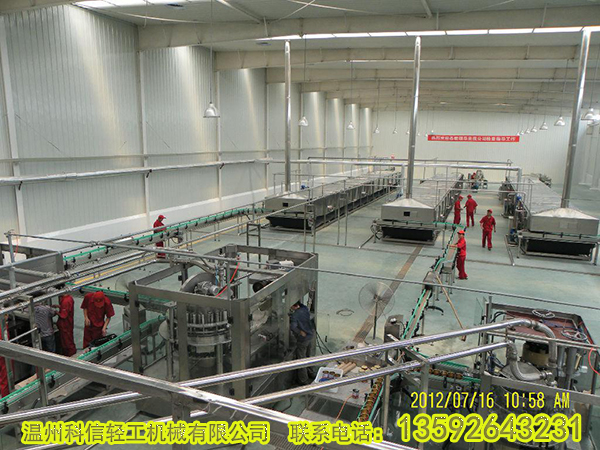 整套樹莓汁飲料生產(chǎn)線設(shè)備 小型樹莓深加工設(shè)備廠家