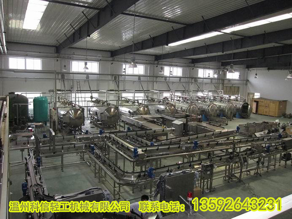 整套楊梅汁飲料生產(chǎn)線設備 小型楊梅汁飲料加工設備廠家
